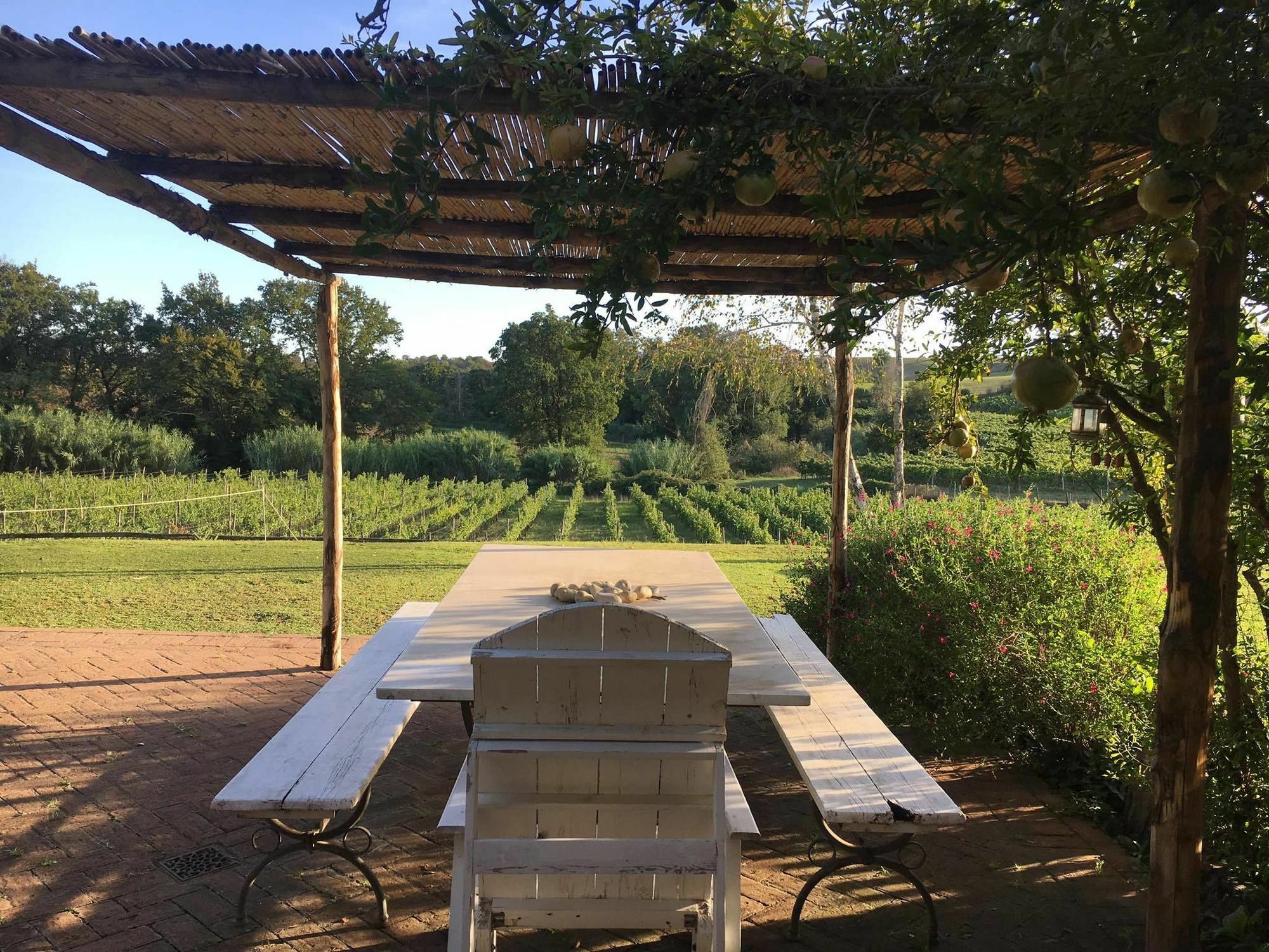 Borgo Del Gelso Bed & Breakfast Olgiata Exterior foto