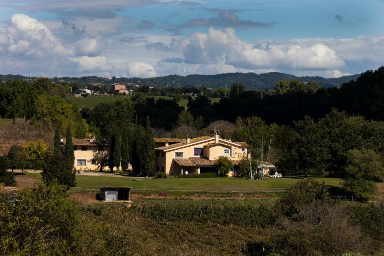 Borgo Del Gelso Bed & Breakfast Olgiata Exterior foto