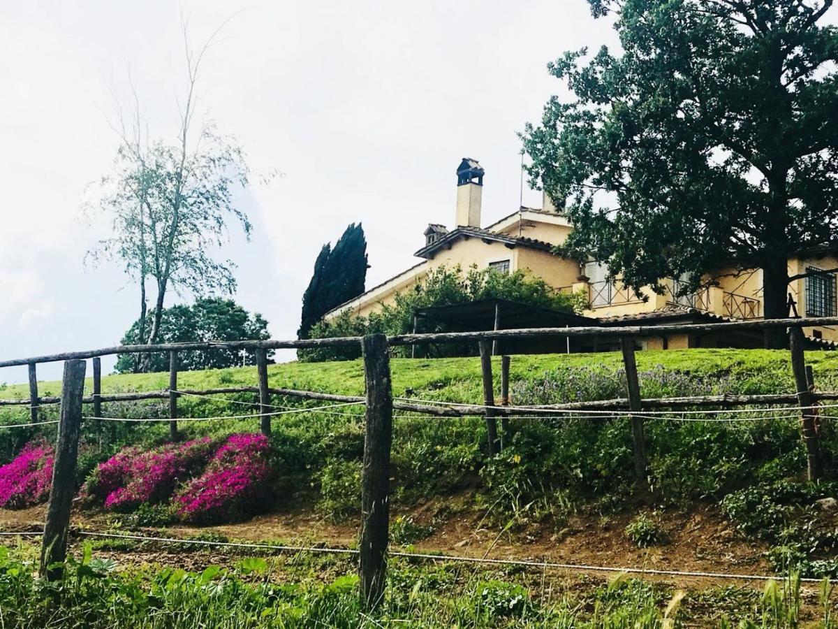Borgo Del Gelso Bed & Breakfast Olgiata Exterior foto
